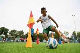 大谷翔平宣布将向日本全国 2 万所小学捐赠 6 万只棒球手套